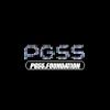 pg55 foundation