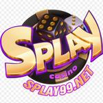 Nhà Cái SPLAY