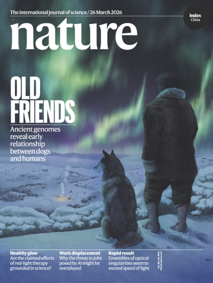 SciNat за март 2026 #5: капсула времени для мРНК, новая роль хроматина в транскрипции, свиной микрокосм и древние собачки