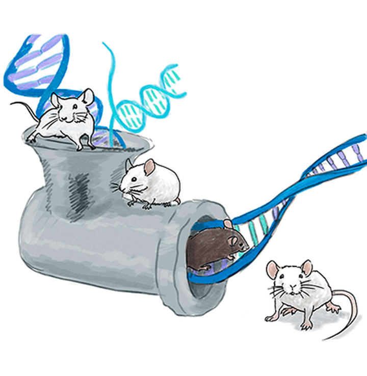 CRISPR-эпопея и ее герои