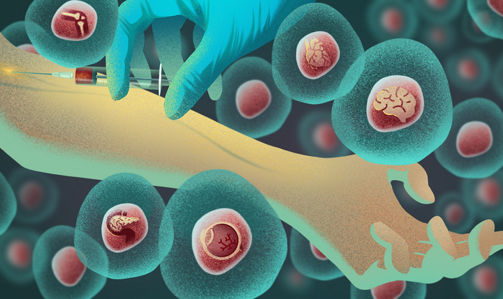 Клеточные технологии в регенеративной медицине