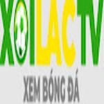 agil8.com gia mao