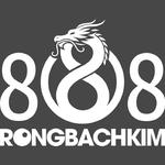 Rồng Bạch Kim 888
