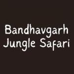 BDG Safari