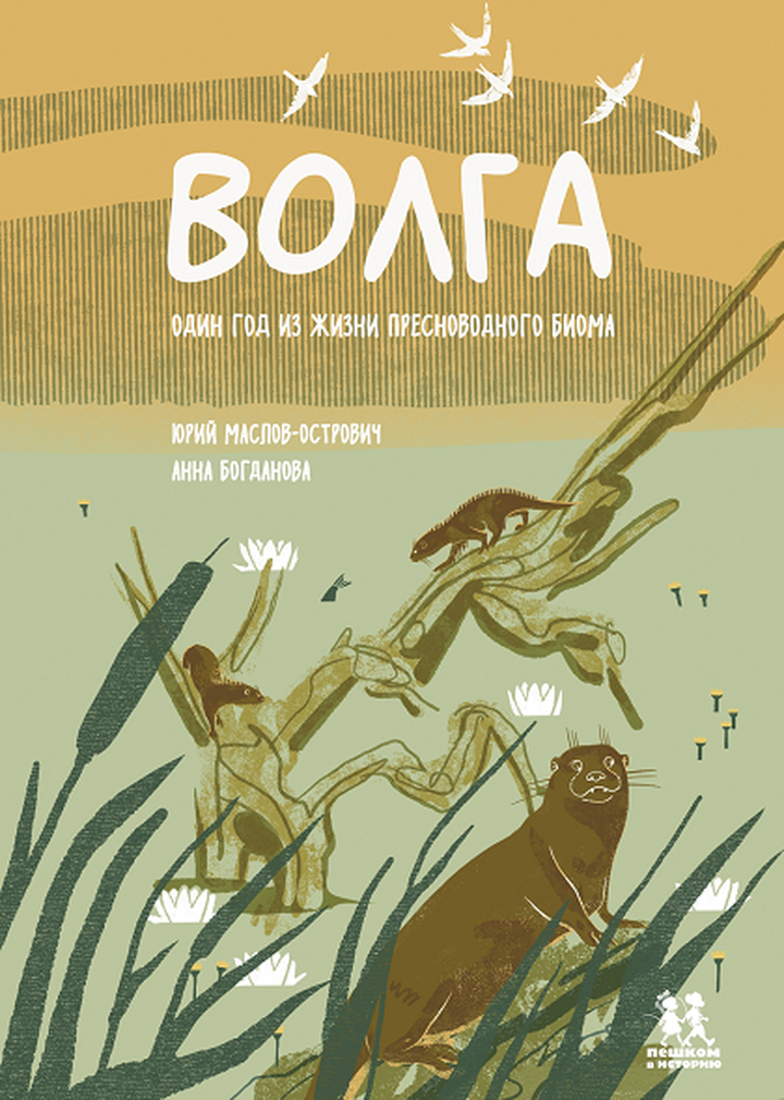 Юрий Маслов-Острович: «Волга: Один год из жизни пресноводного биома». Рецензия