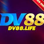 dv88 life