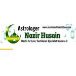 Nazir husain ji