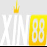 xin88