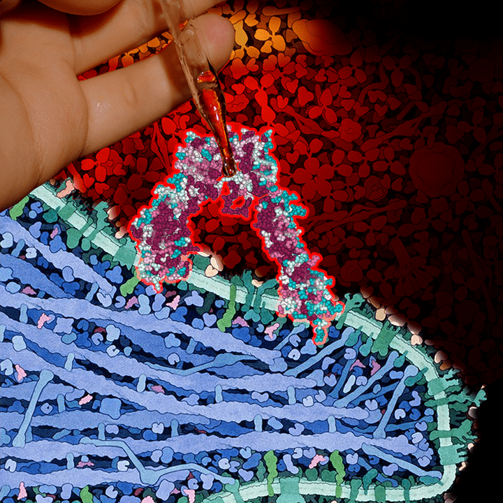 Рецептор «нетрадиционной ориентации»