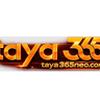 Taya 365