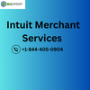 Intuitmerchant service