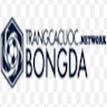 Trangcacuocbongda network