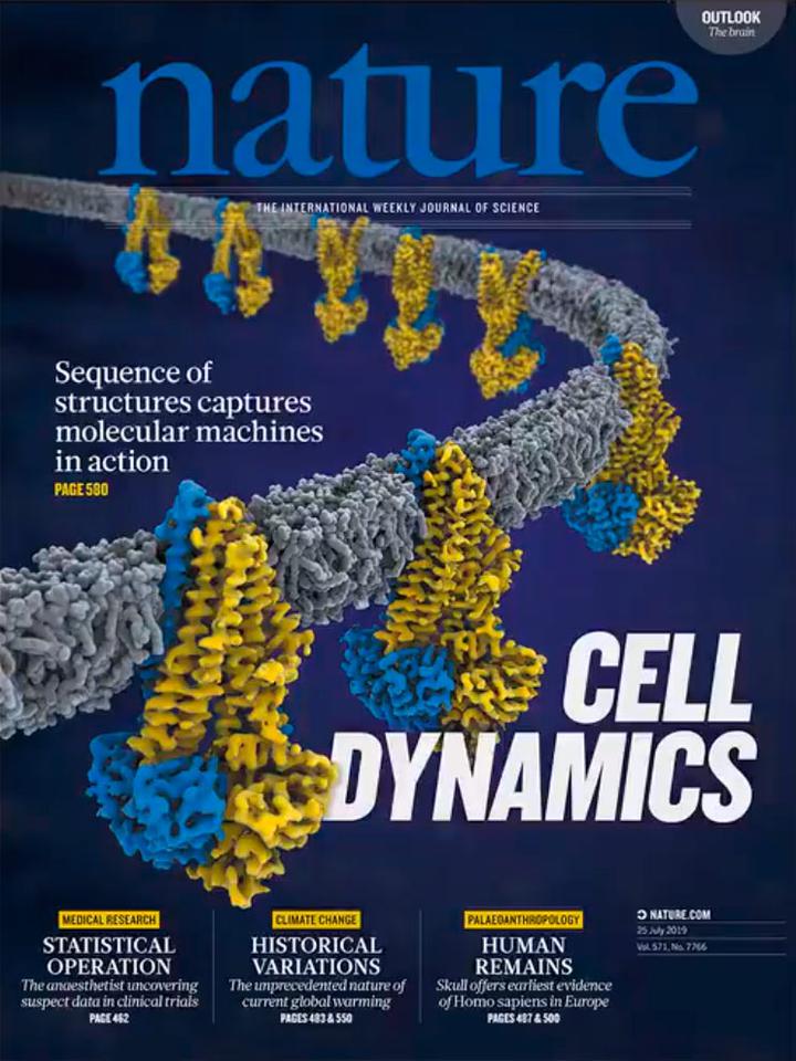 SciNat за июль 2019 #4: вымирающие улитки, растаявший лед и анестезиолог-детектив