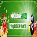 Nuoilo888 com