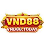 VND88