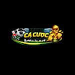 web cá cược uy tín