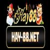 Hay88
