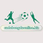 Cá Độ Bóng Đá Online