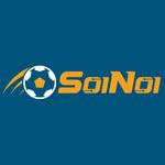 SoiNoi co