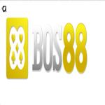 Bos 88