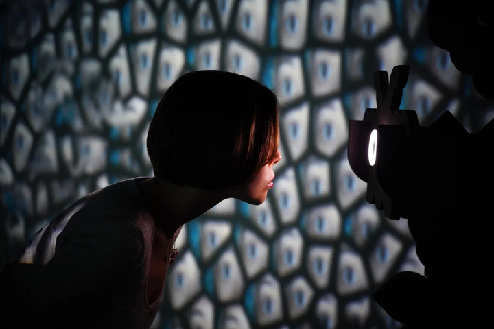 <em>Plantoverse:</em> увидеть мир с растительной точки зрения