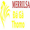 Đá Gà Trực Tiếp Thomo