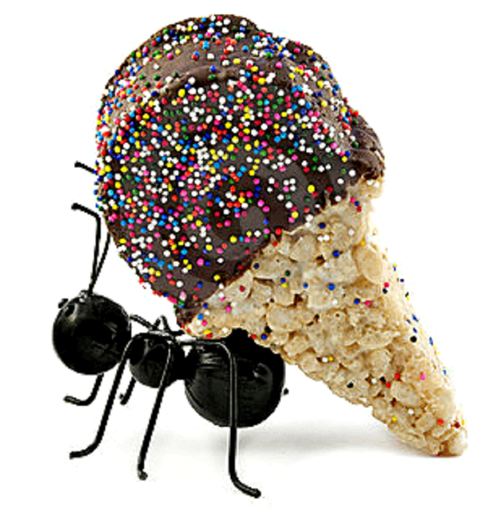 Терморегулирующие доспехи муравья