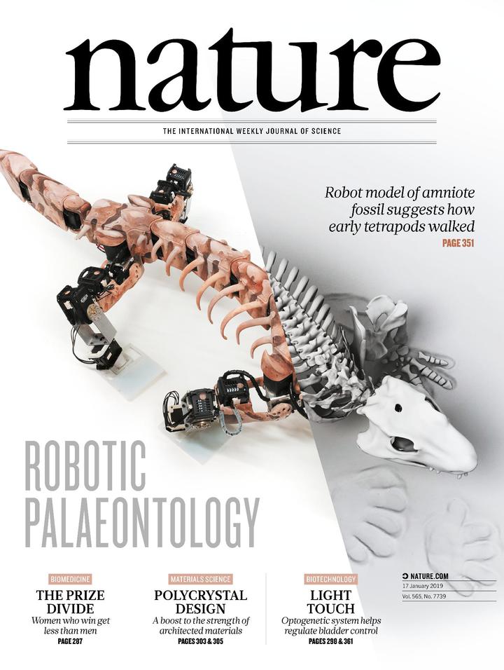 SciNat за январь 2019 #3: робот из глубин времен, интроны-спасатели и мозжечок-социофил