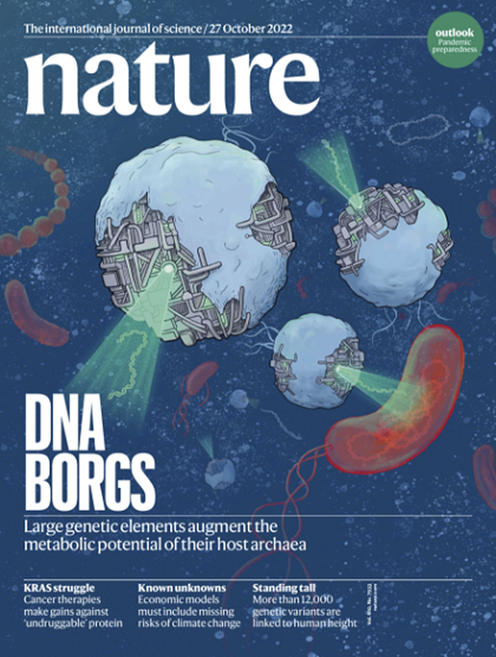 SciNat за октябрь 2022 #5: преступление и наказание за кражу генов, полимераза из Зазеркалья и новый антидепрессант от ноябрьской депрессии