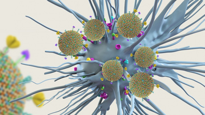 Вакцинация в контексте «нано»