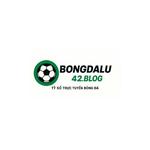 Bongdalu42 Blog