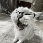 Василиса Смирнова