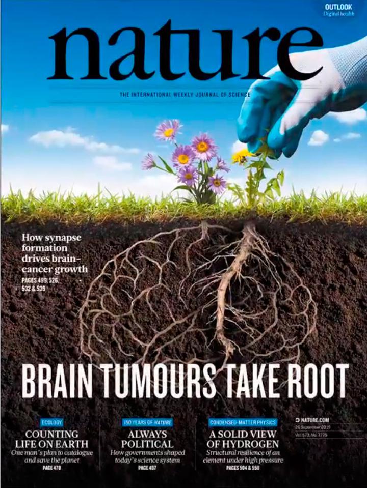 SciNat за сентябрь 2019 #4: микробы, манипулирующие суточными ритмами, полезный химерный цитокин и воспроизведение ранних стадий развития печени