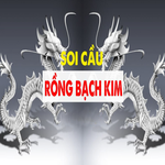 rongbachkim24h org