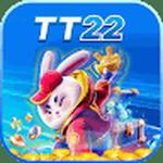 tt22 uk