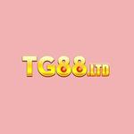 Tg88 Ltd