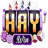 Haywin1 media