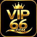 vip66 ink