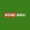 Nhà Cái Bongdalu