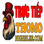 vanthang198112@gmail.com