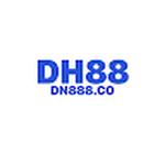 DN888 Co