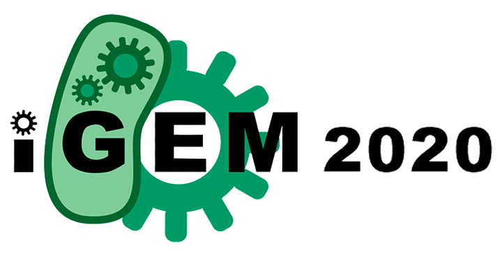 Российское золото iGEM 2020