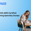 AWS Pass