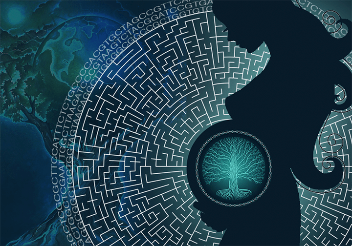 Многоликая и уникальная: плацента в лабиринте эволюции