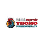TRỰC TIẾP ĐÁ GÀ THOMO HÔM NAY TẠI CAMPUCHIA