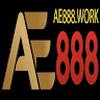 AE888 WORK