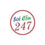 Soi Cầu 247 Rồng Bạch Kim