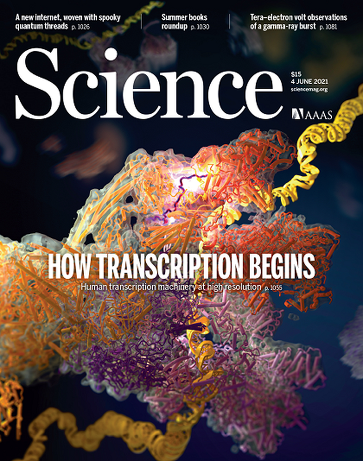 SciNat за июнь 2021 #1: редактирование генетического кода, создание неуязвимой к вирусам бактерии и нарушение циркуляции респираторных вирусов