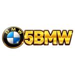 5BMW Game