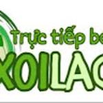 xoilac ad